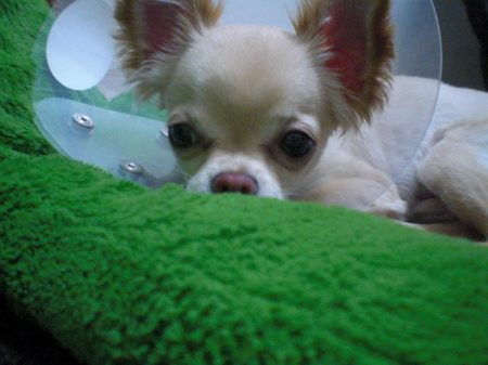 new_CIMG3513_20121124230800.jpg