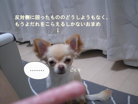 new_CIMG3822.jpg