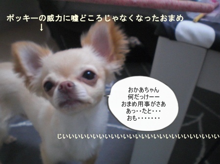 new_CIMG3830.jpg