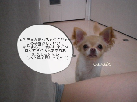 new_CIMG4028.jpg