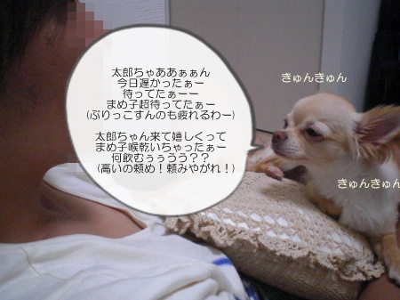 new_CIMG4052.jpg