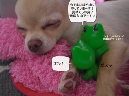 new_CIMG4139.jpg
