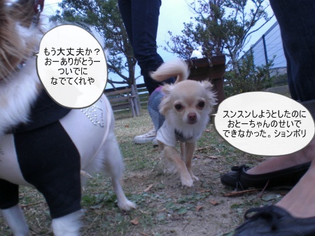 new_CIMG4298.jpg