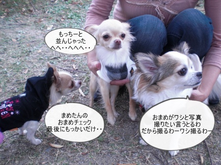 new_CIMG4310.jpg
