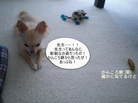 new_CIMG4387.jpg