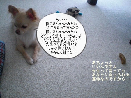 new_CIMG4388.jpg