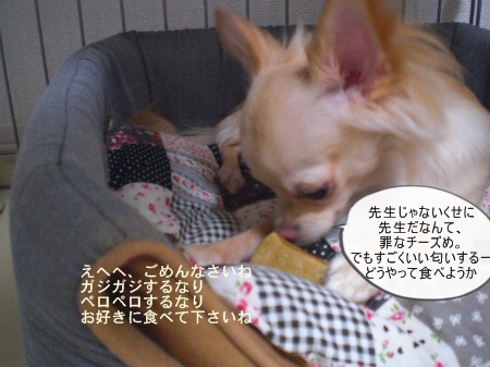 new_CIMG4392.jpg
