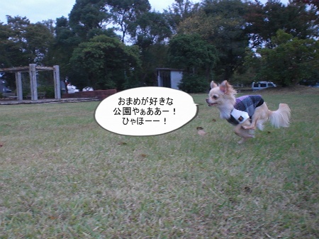 new_CIMG4435.jpg
