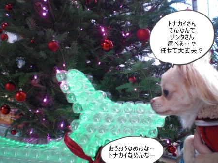 new_CIMG4639_20121109151233.jpg