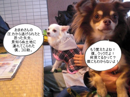 new_CIMG4642.jpg
