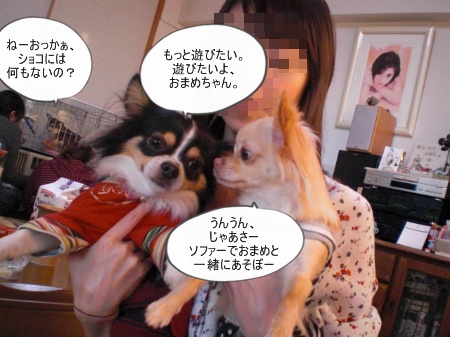 new_CIMG4693.jpg