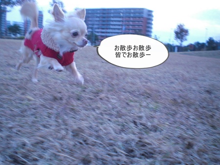 new_CIMG4809.jpg