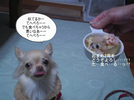 new_CIMG4862.jpg