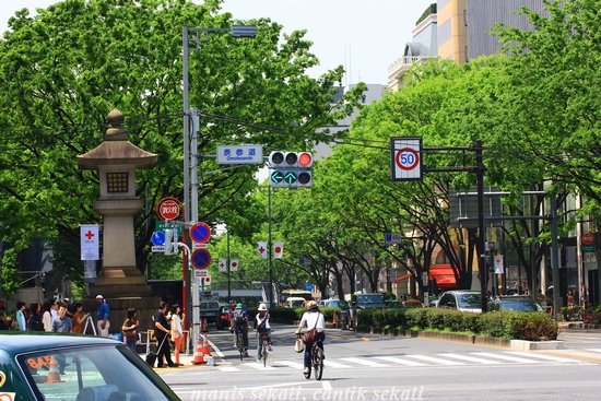 cantik1_20120509072723.jpg