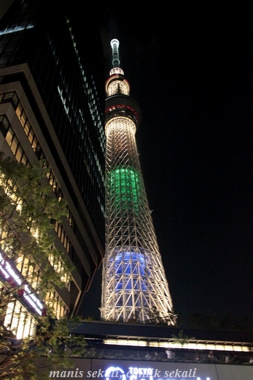 cantik2_20120909100333.jpg