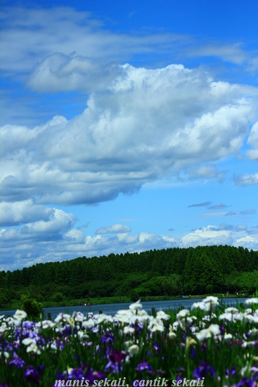 cantik3_20120620073843.jpg