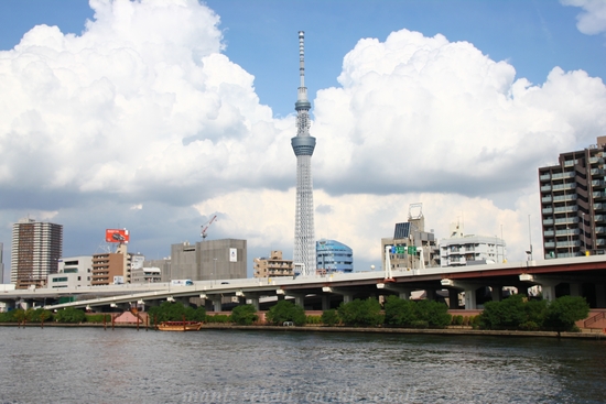 cantik3_20121108064421.jpg