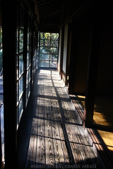 cantik3_20121204074717.jpg