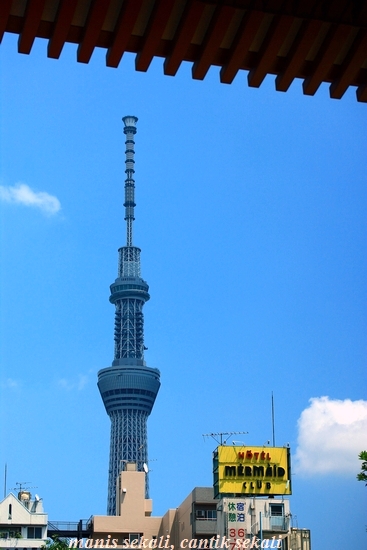 cantik5_20120711072702.jpg