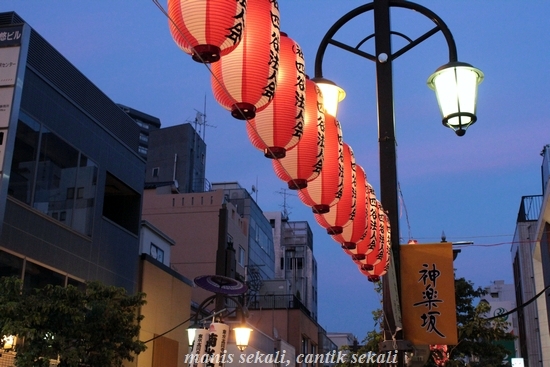 cantik6_20120728090319.jpg