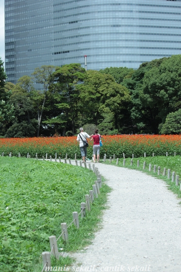 cantik6_20120808074449.jpg