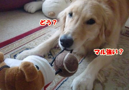 CIMG0013-1