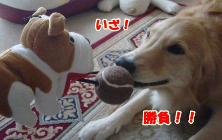 CIMG0008-1