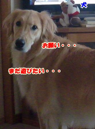 CIMG0032-1