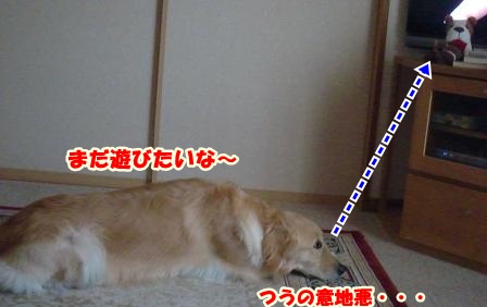 CIMG0048-1