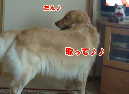 CIMG0051-1