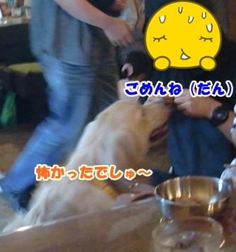 CIMG0082-1