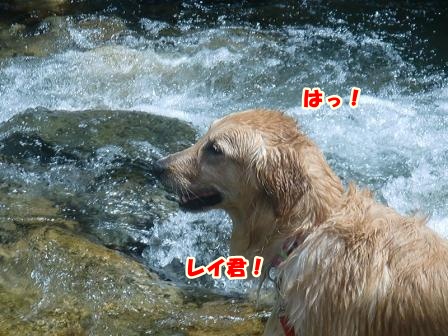 CIMG0131-1