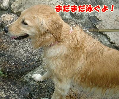 CIMG0366-1