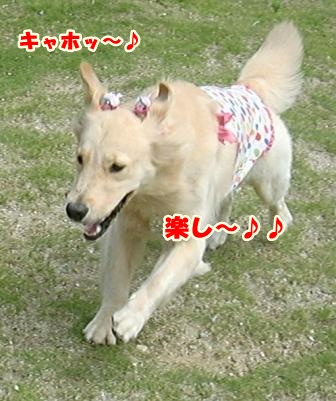 CIMG1345-1