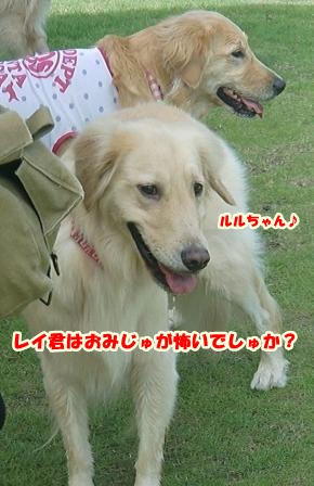 CIMG1478-1