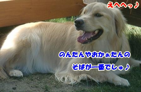 CIMG1368-1