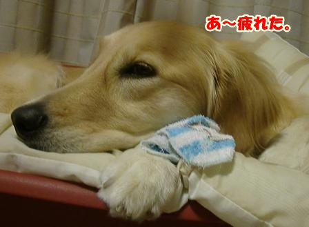 疲れマル-1