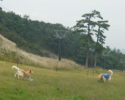 CIMG2868大山