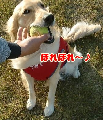 CIMG2960空港公園-1