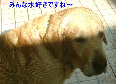 CIMG3842 (400x291)ー1
