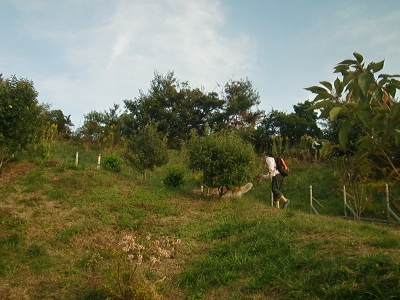 CIMG3914 (400x300)