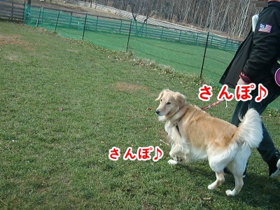 CIMG4359 (400x300)ー1