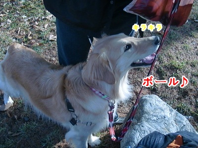 CIMG4396 (400x300)ー1