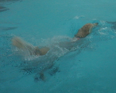 CIMG4549 (400x320)