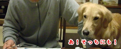 CIMG5198 (400x165)^ー1