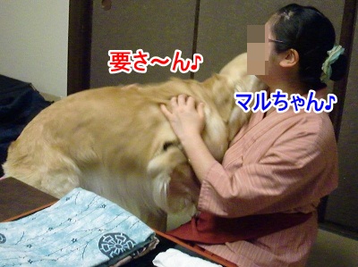 CIMG5202 (400x299)ー1