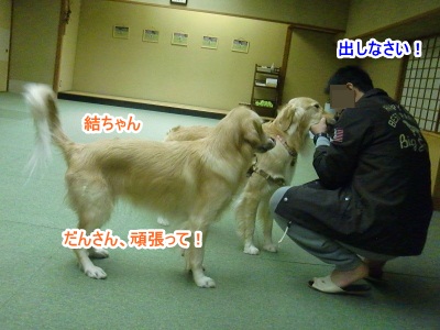CIMG5277 (400x300)ー1