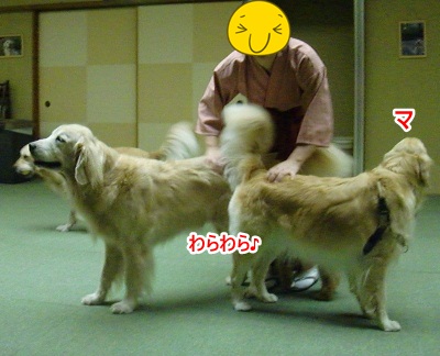 CIMG5343 (400x324)ー1