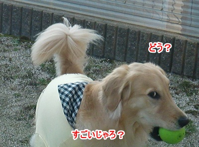 CIMG5698 (400x296)ー1