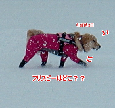 CIMG6290 (400x374)ー1